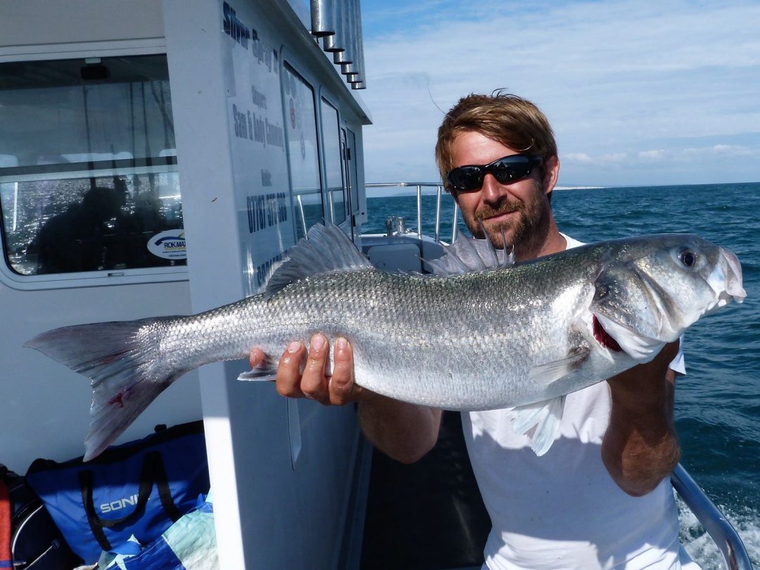 Bass Trips | Fishing Trips From Poole, Dorset